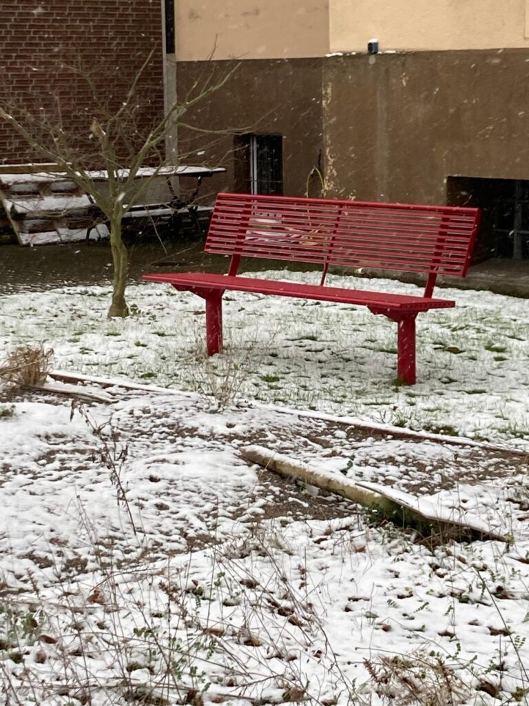 PHOTO-2026-02-19-13-07-33 1