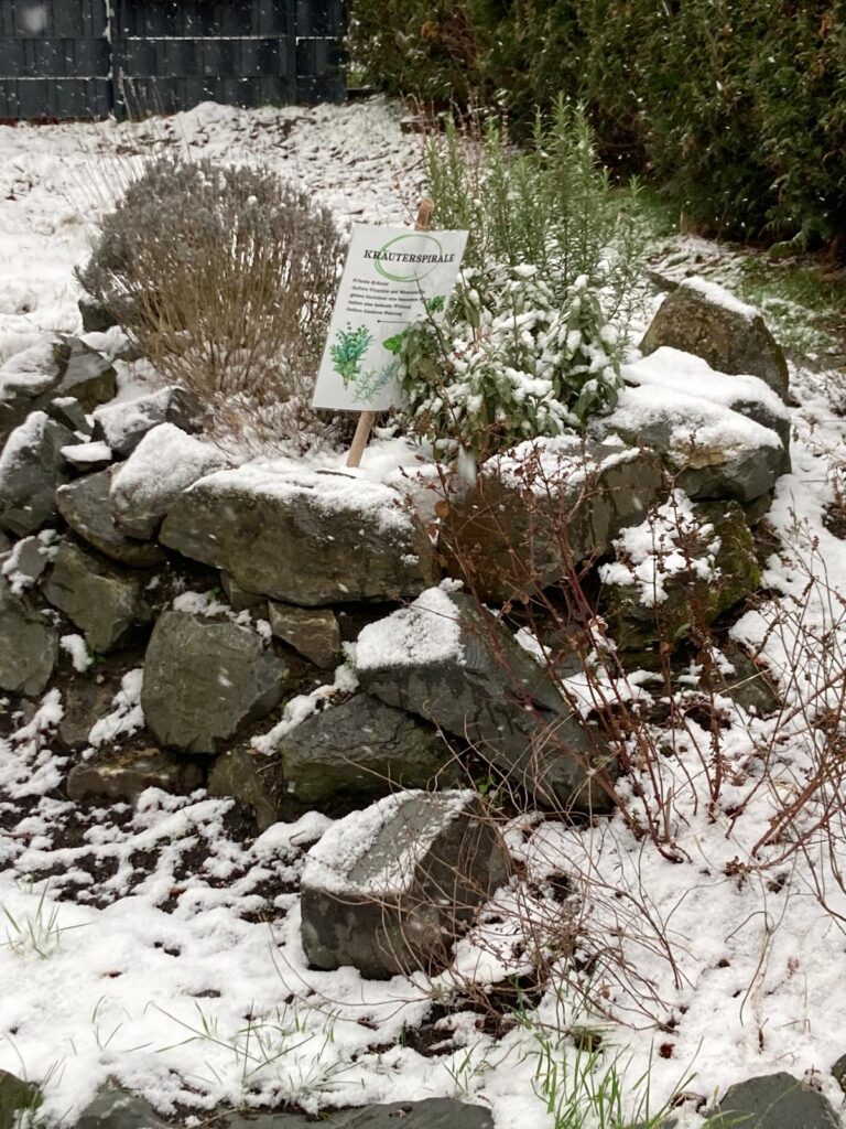 PHOTO-2026-02-19-13-07-33