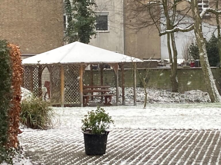 PHOTO-2026-02-19-13-07-37