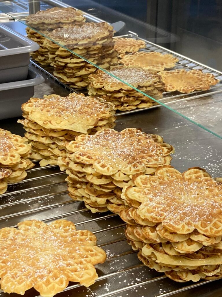 PHOTO-2026-02-19-13-07-39