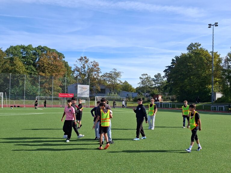 Fussball (8)